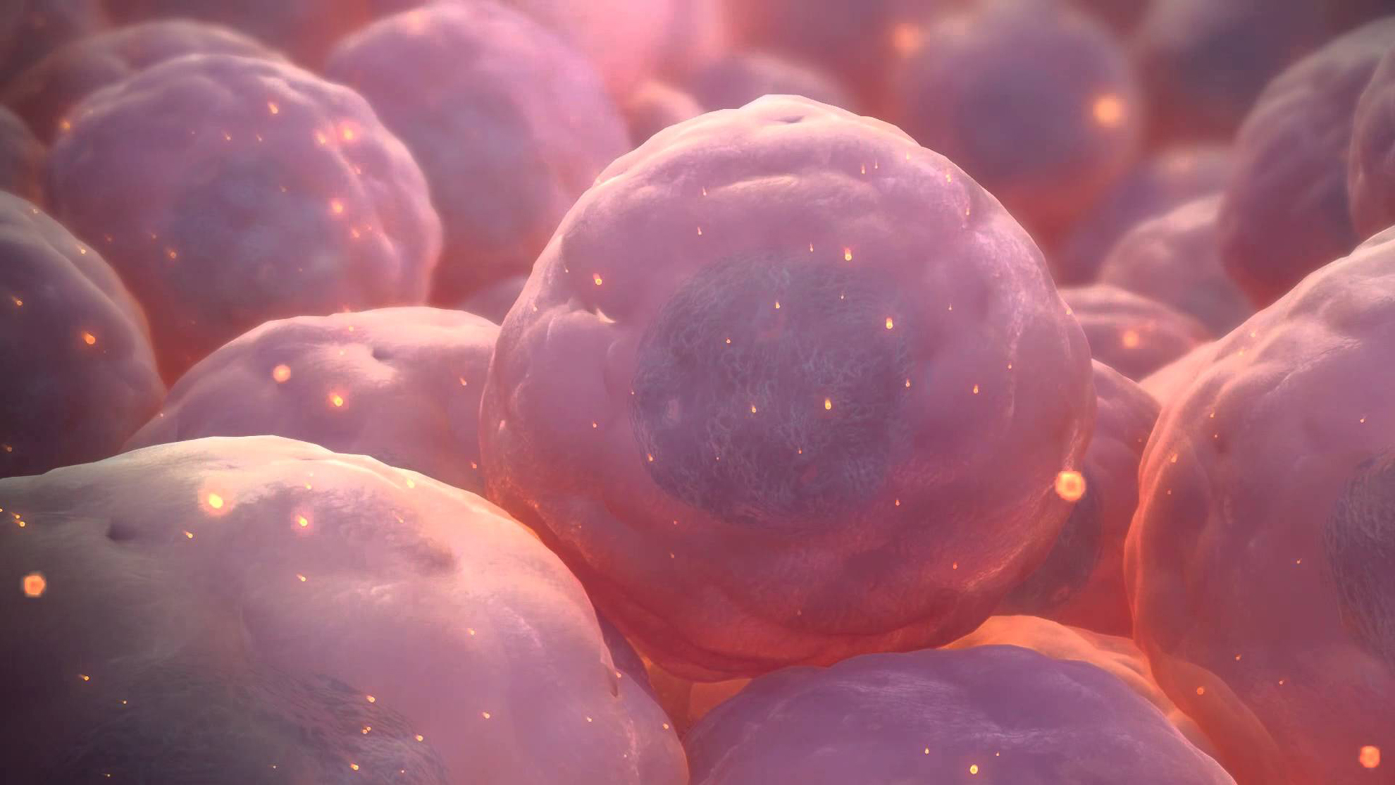 1 стволовые клетки. Стволовые клетки. Постнатальные стволовые клетки. Эмбриональная стволовая клетка. Что такое стволовые клетки в организме.